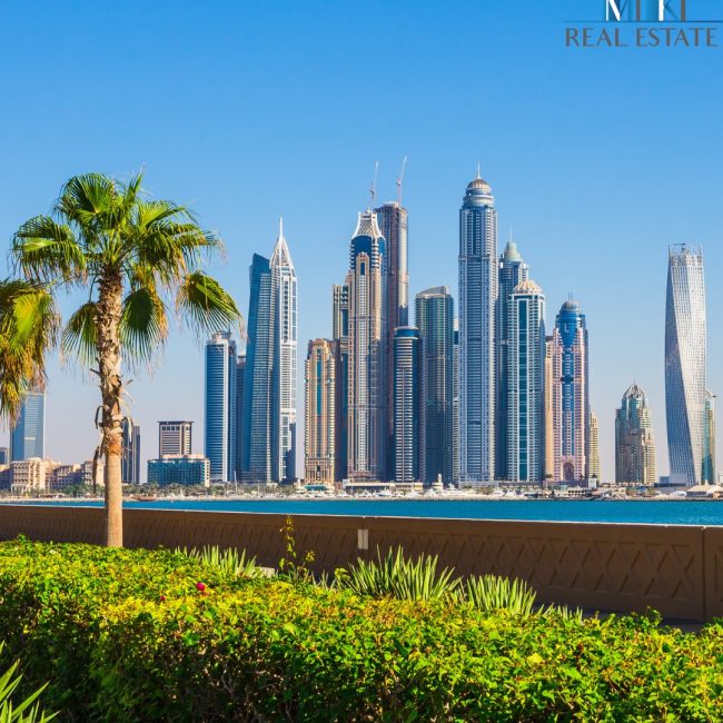 L’essor de l’immobilier durable à Dubai