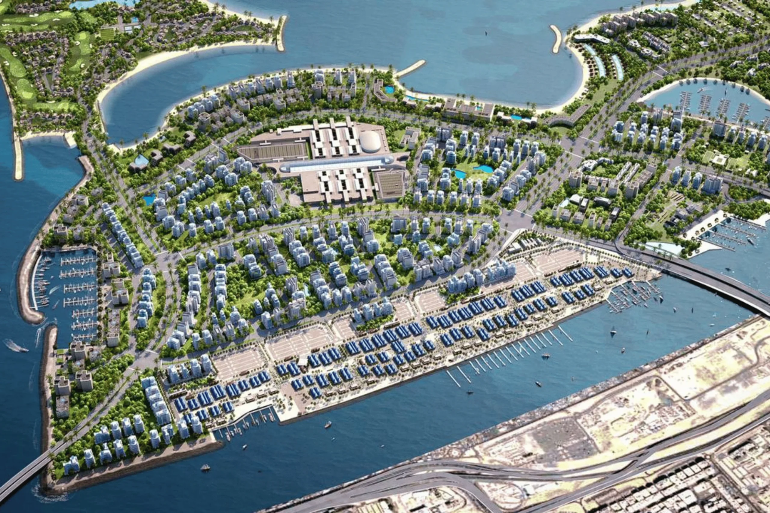 Marina & Waterfront Activation​