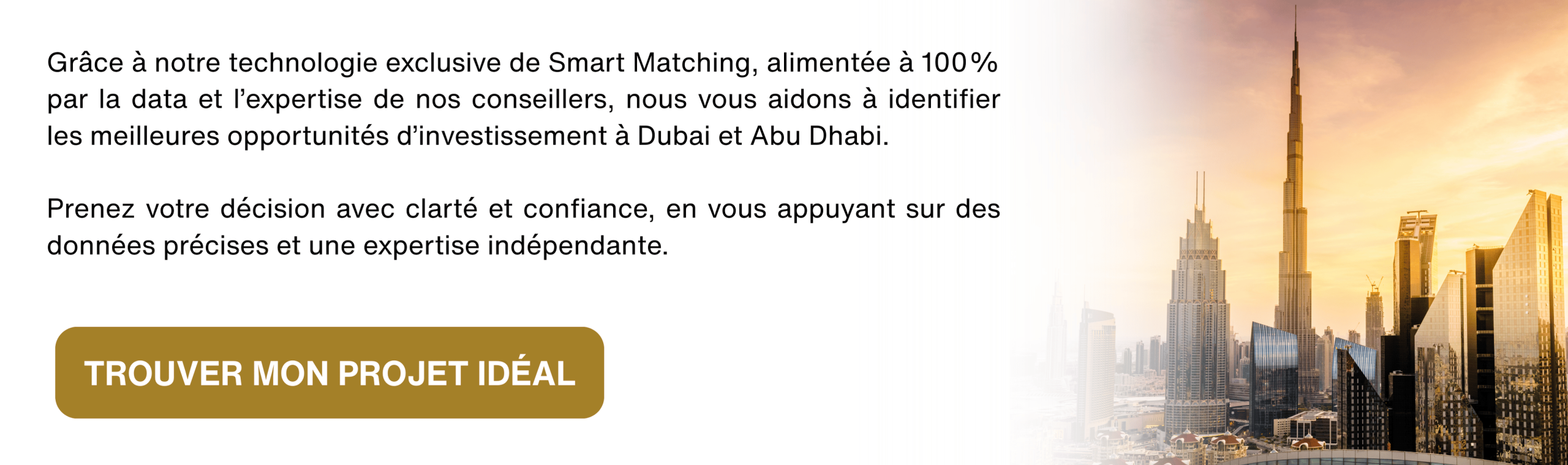 Dubai Investment Tool FR