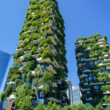 Règles Écologiques Favorisent Immobilier Vert Dubai